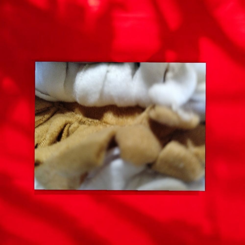 Dog Toy Vibrant Life Widelife Snuffle Fox  Mat 10inch, Chew Level 3, Polyester - Picture 10 of 12